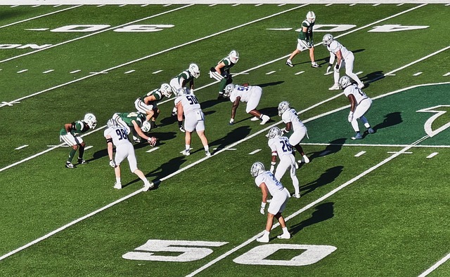 皇家社会取 皇家社会取