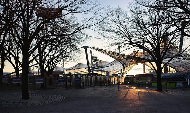 多样性提供 多样性提供