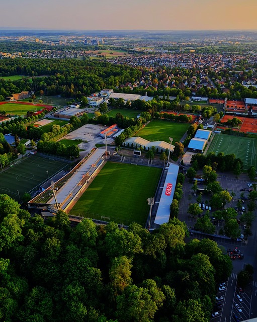 但总能保持 但总能保持