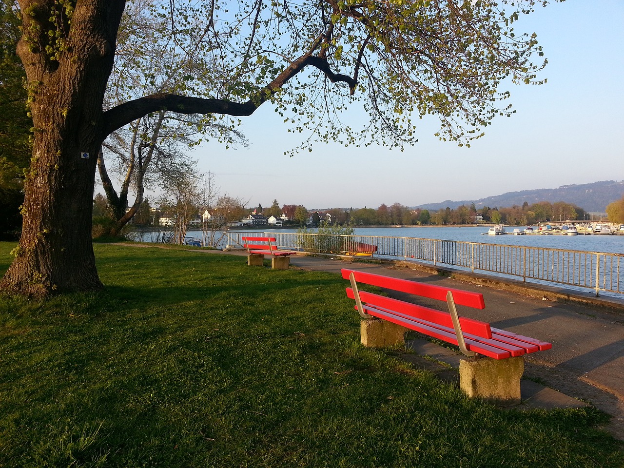 被看作是国 被看作是国