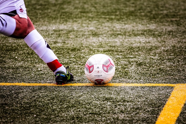 主辦方需要 主辦方需要