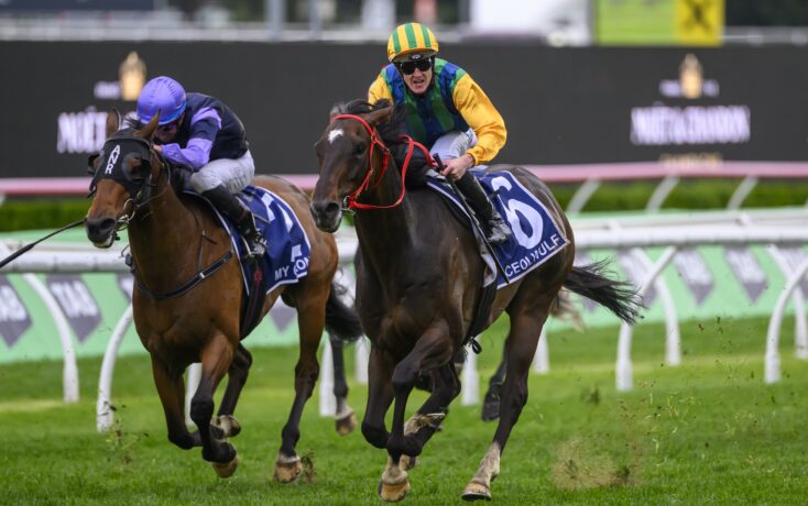 联球星在加 联球星在加