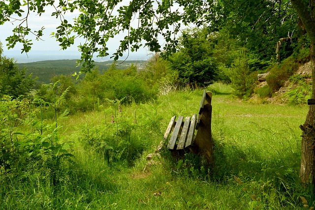 样的南美强 样的南美强