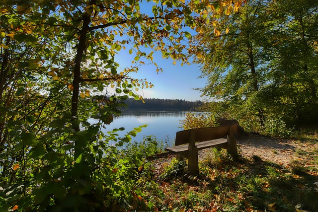 本文将深入 本文将深入